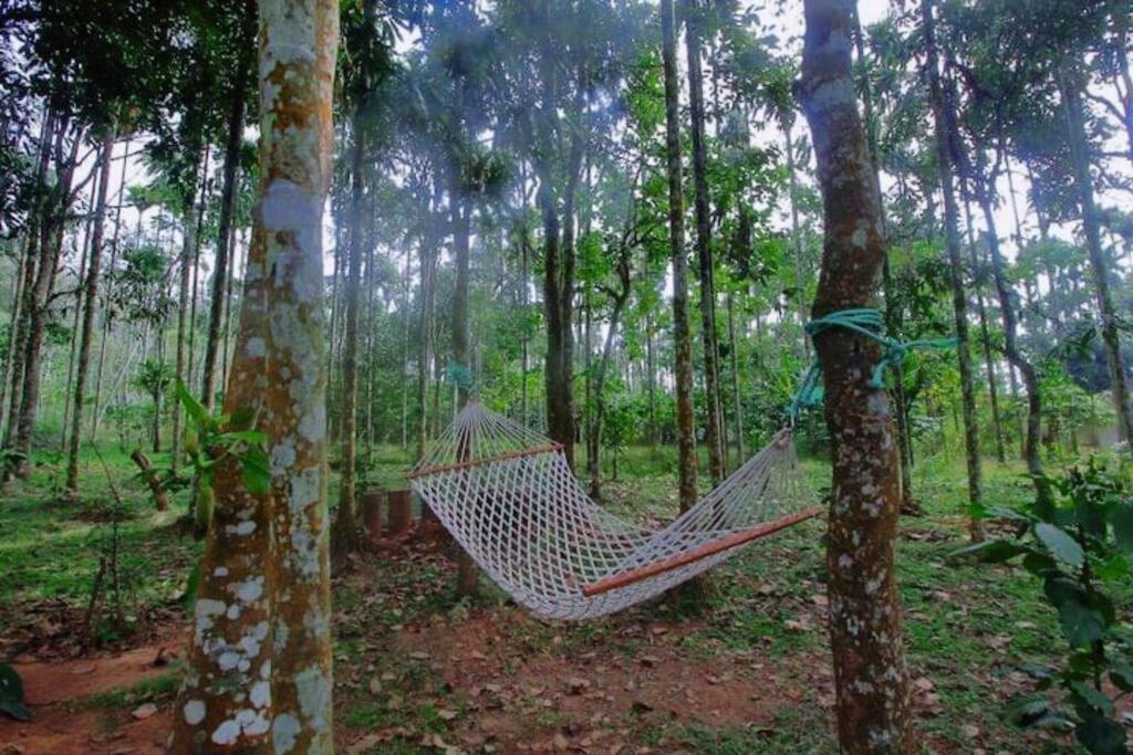 Tall Trees - Modern Forest Villa In Wayanad 술탄 바테리 외부 사진