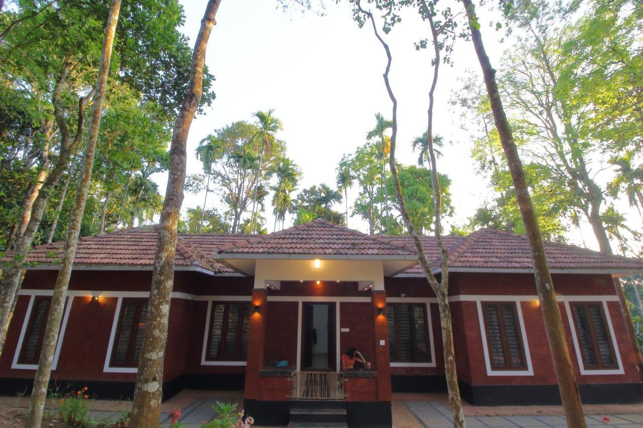 Tall Trees - Modern Forest Villa In Wayanad 술탄 바테리 외부 사진