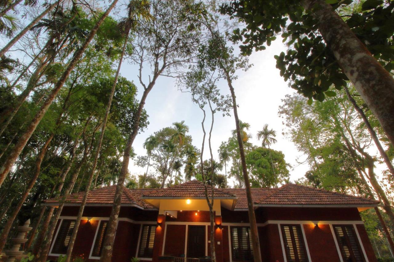 Tall Trees - Modern Forest Villa In Wayanad 술탄 바테리 외부 사진