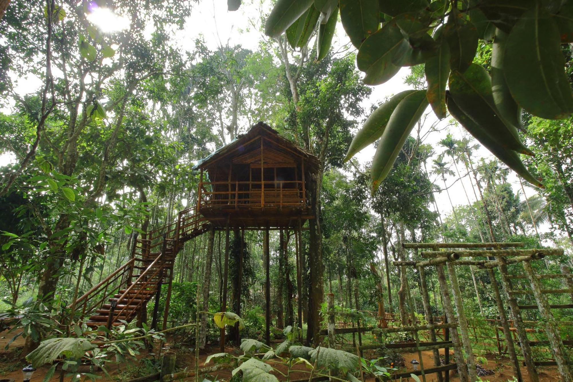 Tall Trees - Modern Forest Villa In Wayanad 술탄 바테리 외부 사진