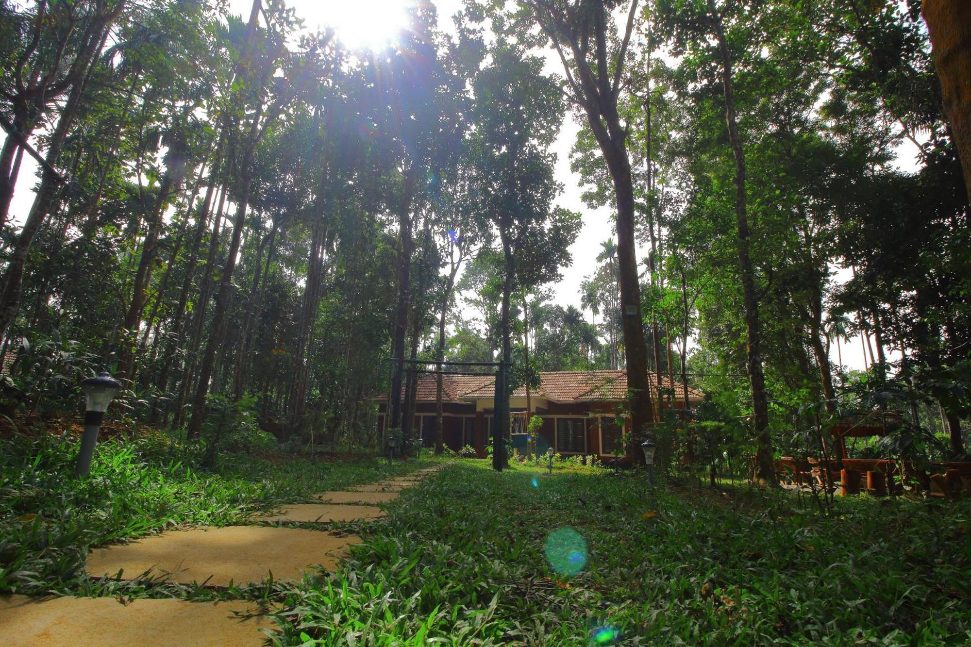 Tall Trees - Modern Forest Villa In Wayanad 술탄 바테리 외부 사진